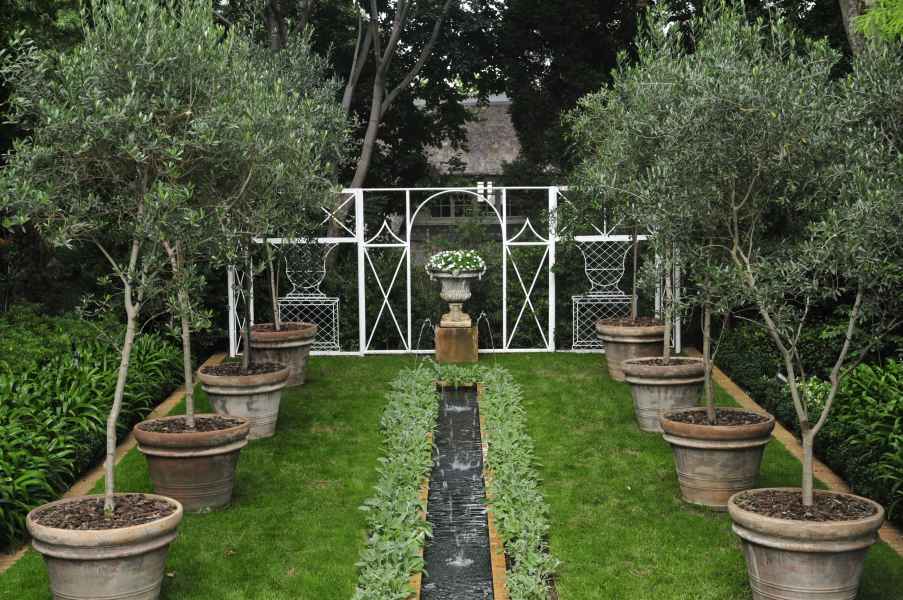 Rill with Olives in large pots