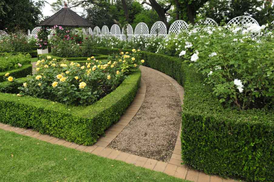 Rose garden
