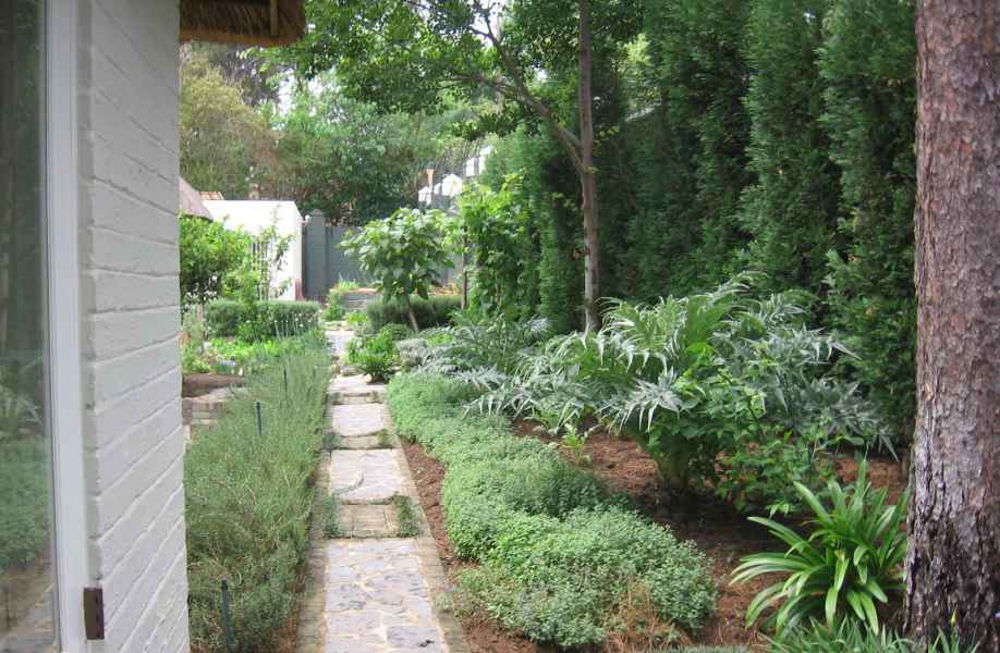 Vegetable garden hidden behind the house