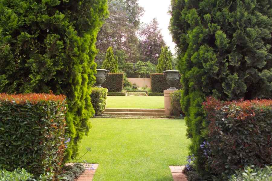 Long vista through the hedges to top garden
