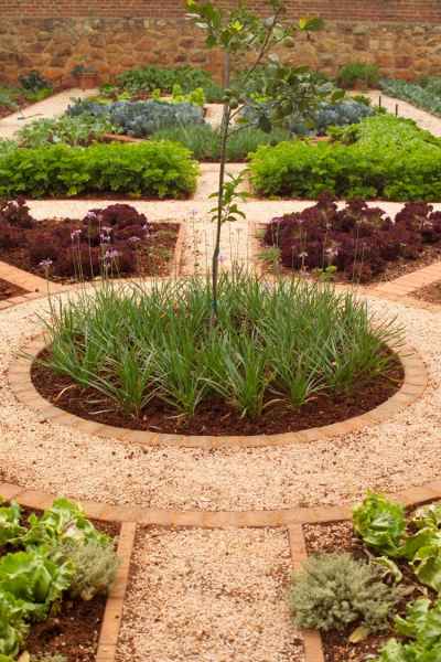 Vegetable garden