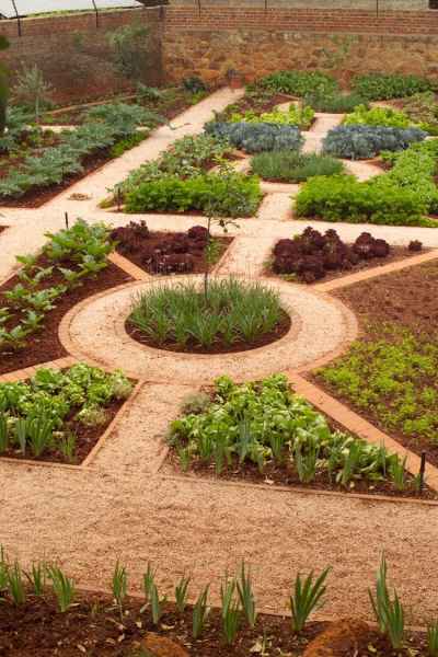 Vegetable garden