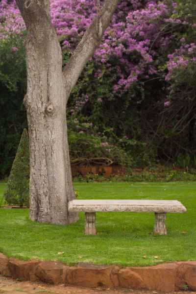 A peaceful spot to sit and watch the sunset