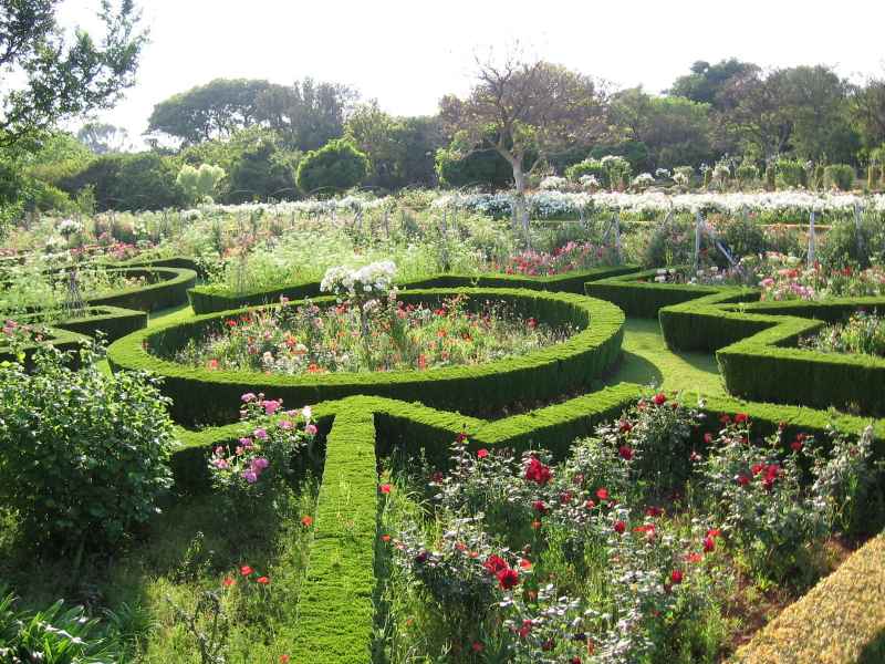 Myrtle hedges form the lower section of the garden