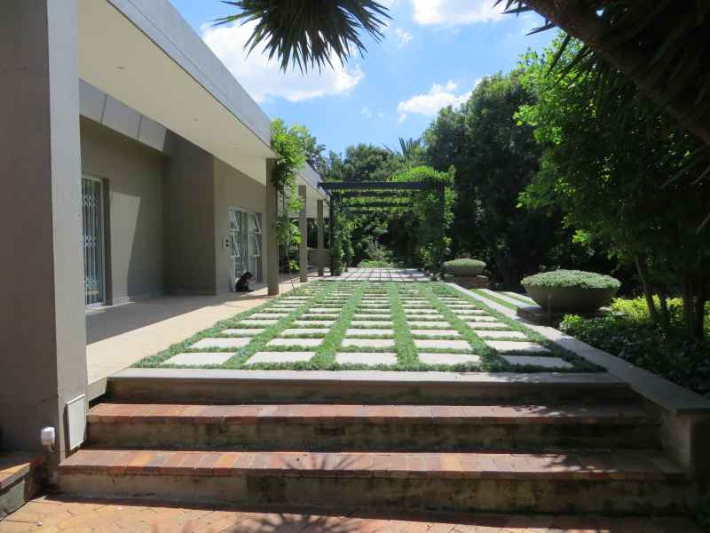 Mondo grass in blocks