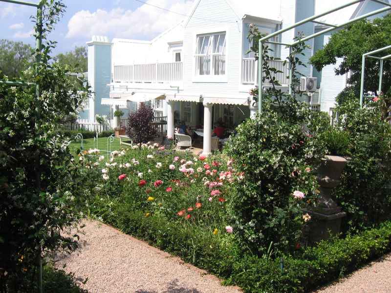 Looking through the rose garden