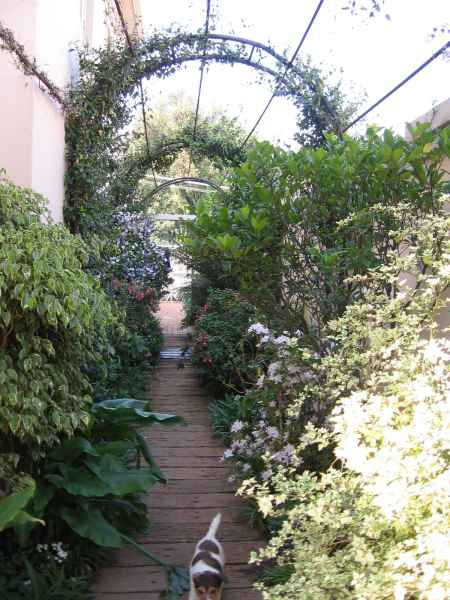 Arch over walkway next to the house