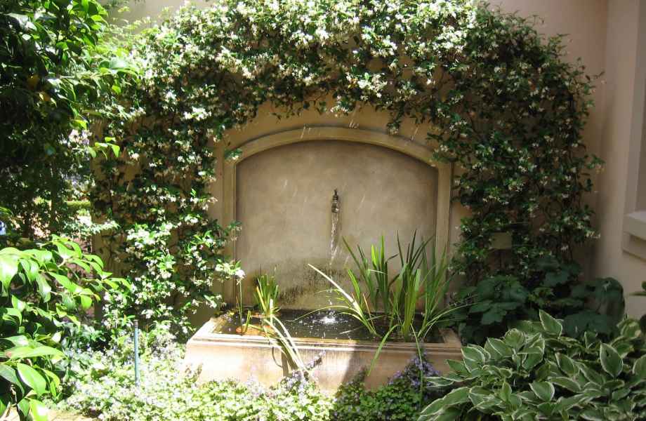 Lovely pond surrounded by Star Jasmine