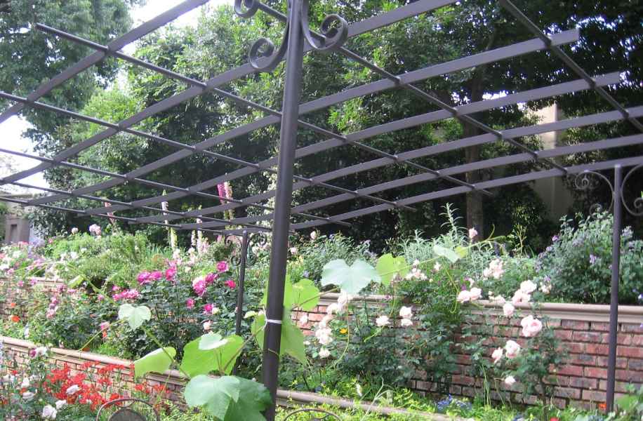 Pergola