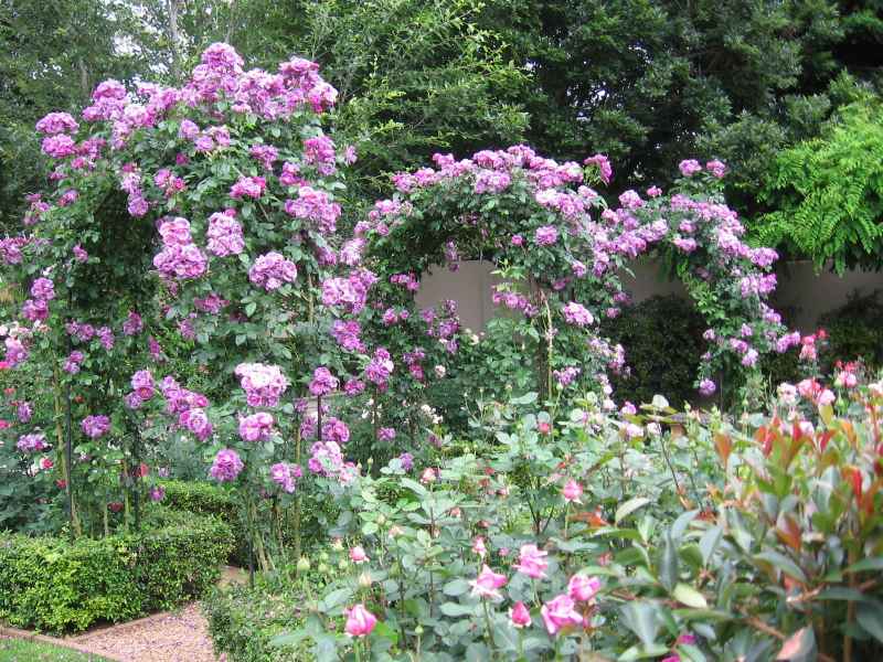 file-1312 Gardens - Shirley Wallington