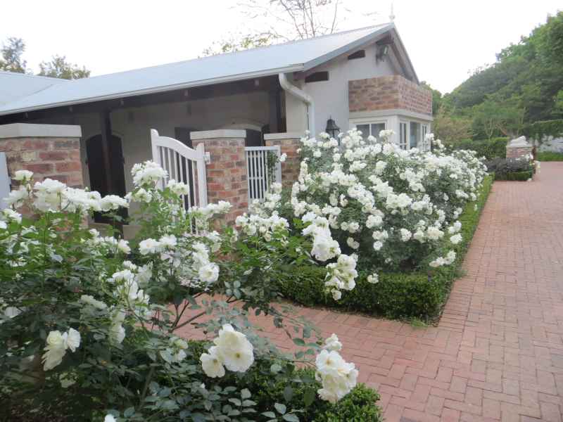 Iceberg Roses with Heliotrope (perfume)