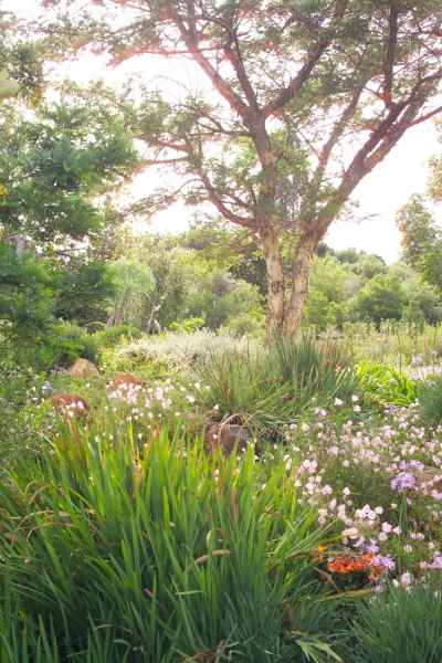 Mixed planting