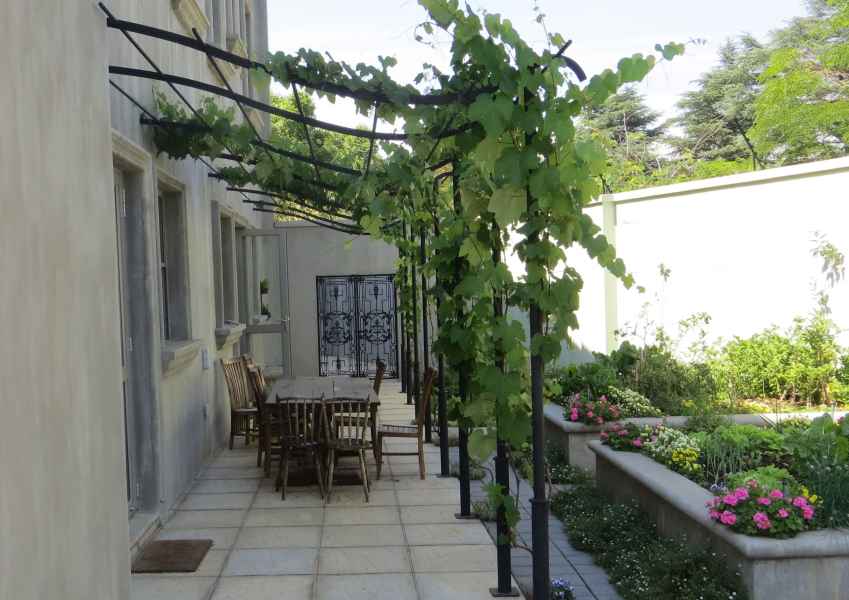 Pergola with grape vine