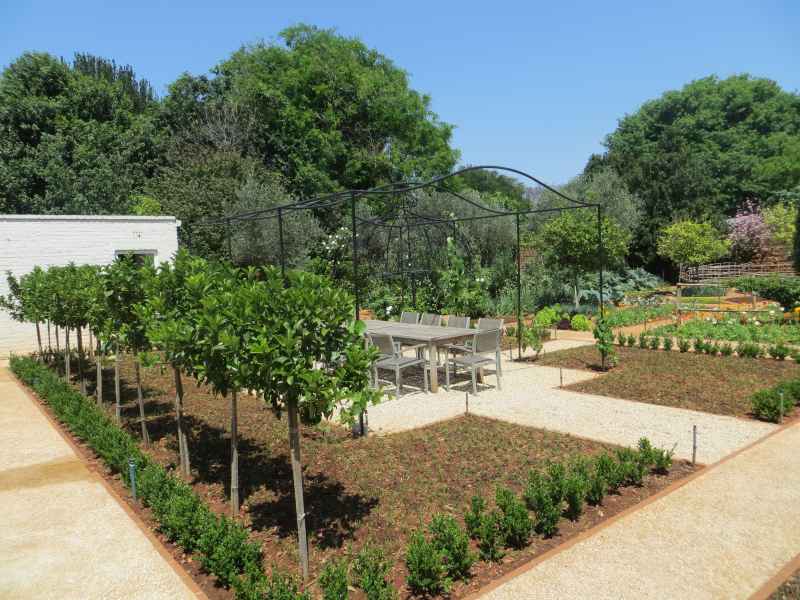 Seating in a veggie garden under a grapevine pergola