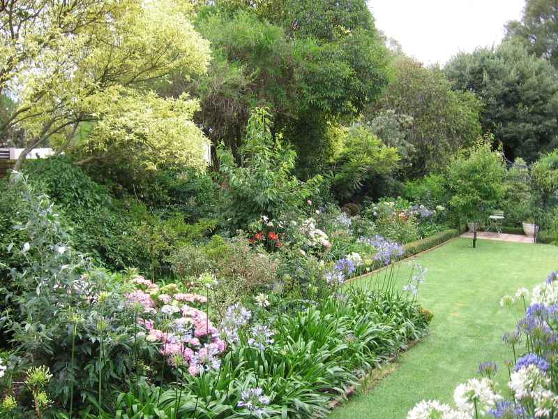 Shrubs surrounding tidy lawn
