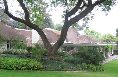 Garden design by Shirley Wallington — Large tree with rolling lawns