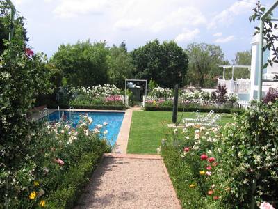 Garden design by Shirley Wallington — Pool area surrounded by roses