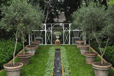Garden design by Shirley Wallington — Rill with olives in large pots