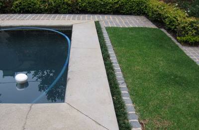 Garden design by Shirley Wallington — The pool was a bit high so using mondo grass around the edges hid the raised concrete