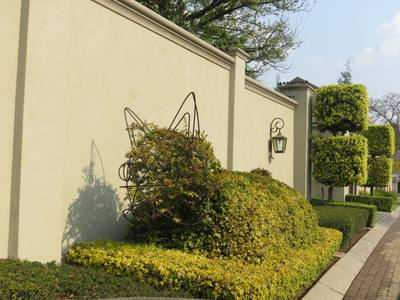 Garden design by Shirley Wallington — Topiary