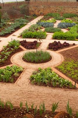 Garden design by Shirley Wallington — Veggie garden