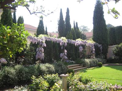 Garden design by Shirley Wallington — Wisteria pergola on a terrace