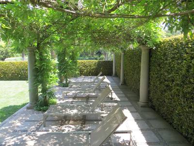 Garden design by Shirley Wallington — Wisteria pergola