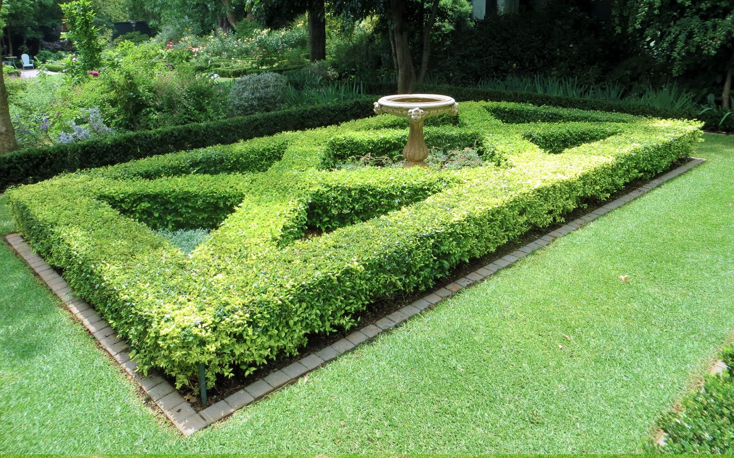 Formal parterre garden with roses and clipped hedging designed by Shirley Wallington