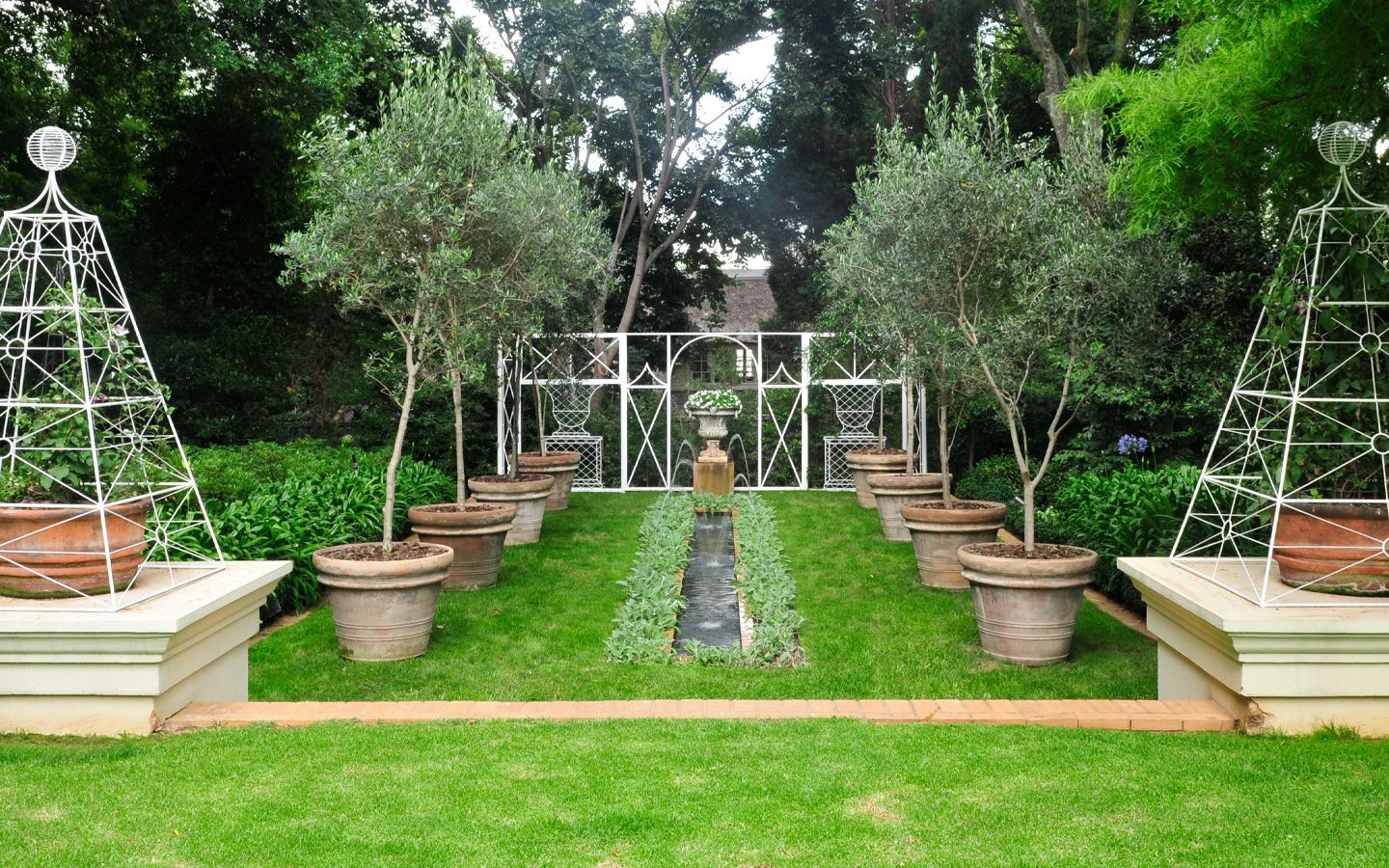 Landscaped Johannesburg garden with mature planting