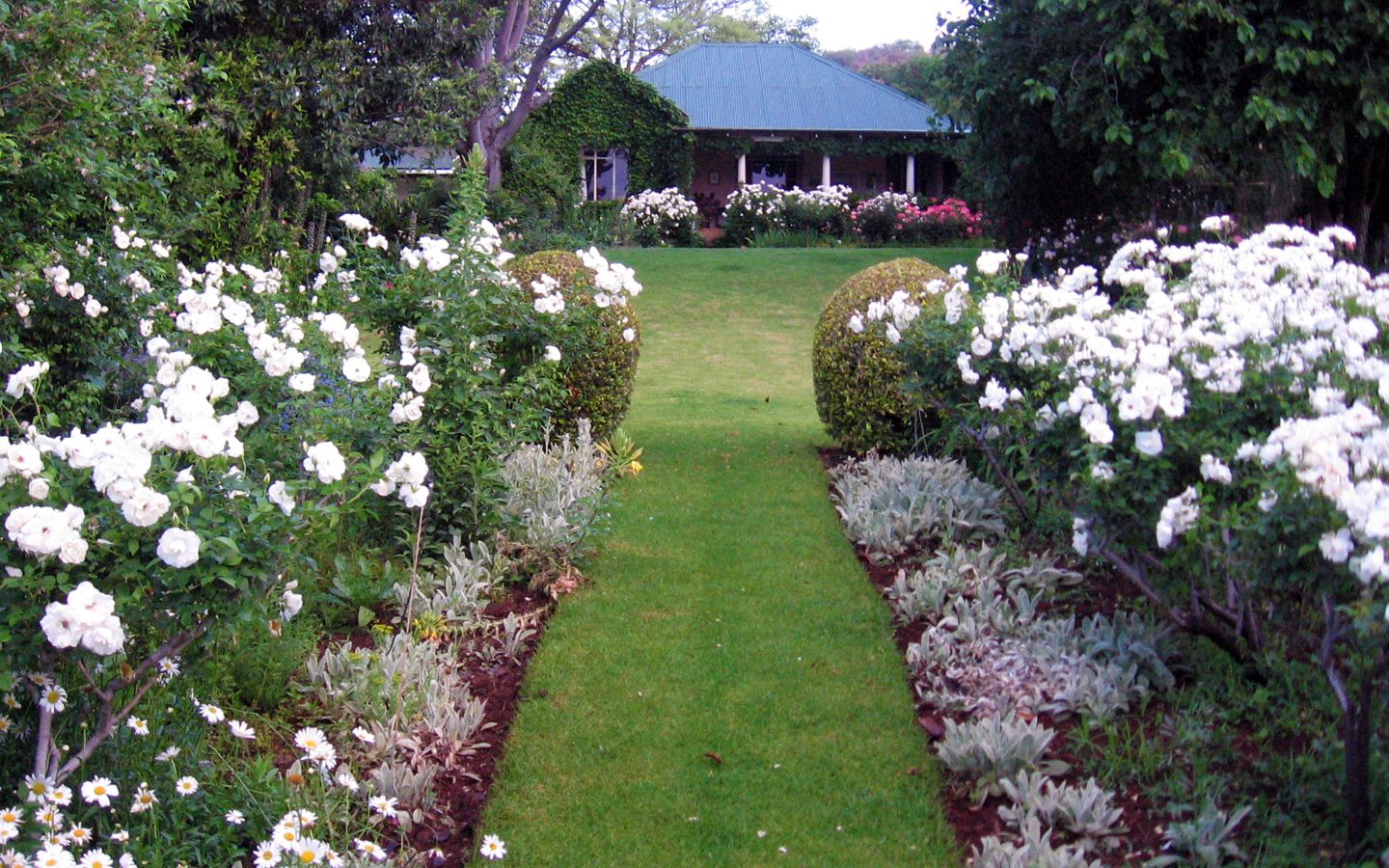 Garden pond and water feature within a landscape design